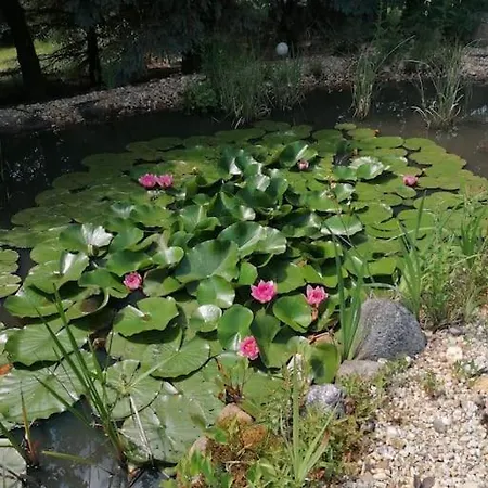 Ferien Auf Dem Land Apartment *